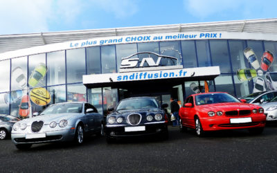 Le clan des Jaguars