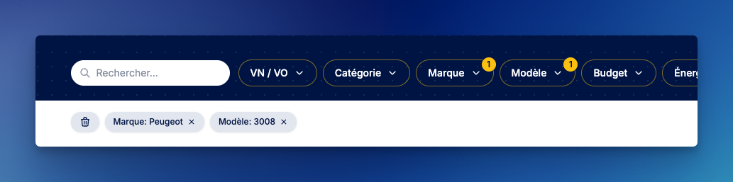Nouveau site internet, SN Diffusion : Les critères de recherches